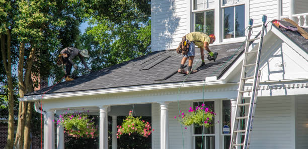 Best Roof Gutter Cleaning  in Warrensville Heights, OH